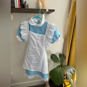 Alice in Wonderland Costume